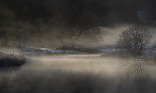 A picture of trees by a river on a misty day. In the foreground the river is calm and flat and white mist hangs around the banks of the river which are covered with long grass with a heavy frost and some snow. The water is now starting to mist over.

The two main trees are two large oaks, a rope swing hangs beneath one of the trees. The light in the photo is starting to take on a golden hue from the morning sunlight.