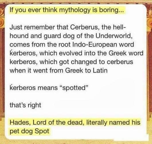 If you ever think mythology is boring... Just remember that Cerberus, the hell- hound and guard dog of the Underworld, comes from the root Indo-European word kerberos, which evolved into the Greek word kerberos, which got changed to cerberus when it went from Greek to Latin kerberos means "spotted" that's right Hades, Lord of the dead, literally named his pet dog Spot