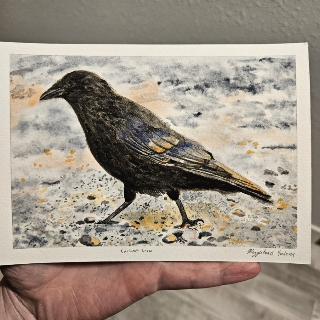 A 5x7 watercolor painting of a crow strutting on the beach at carkeek park with sunset colors.