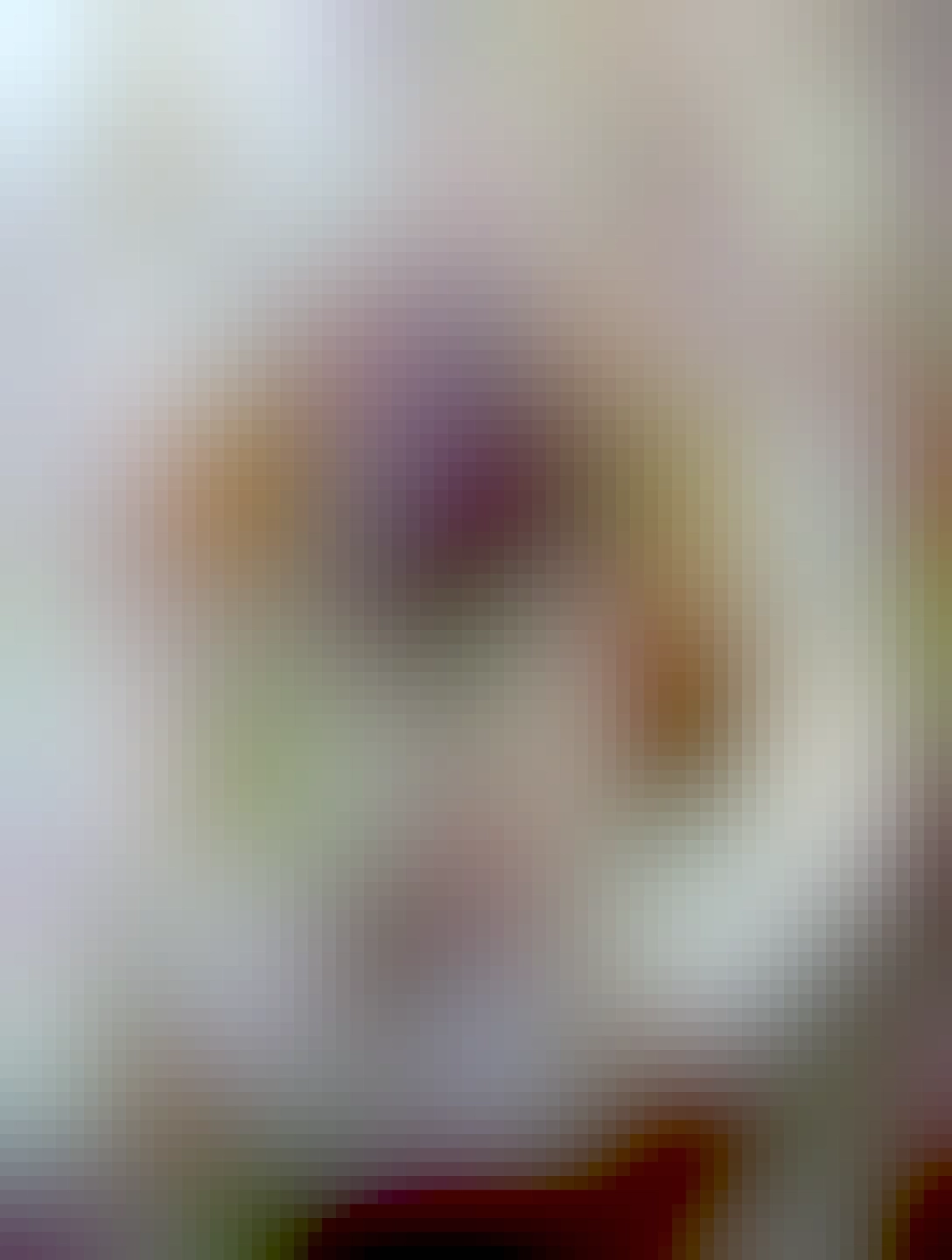 hovězí stejk s pečeníma zemiakmi a šalátom s uhorkou cibuľou rajčinou a mozzarellou, na plytkom bielom tanieri