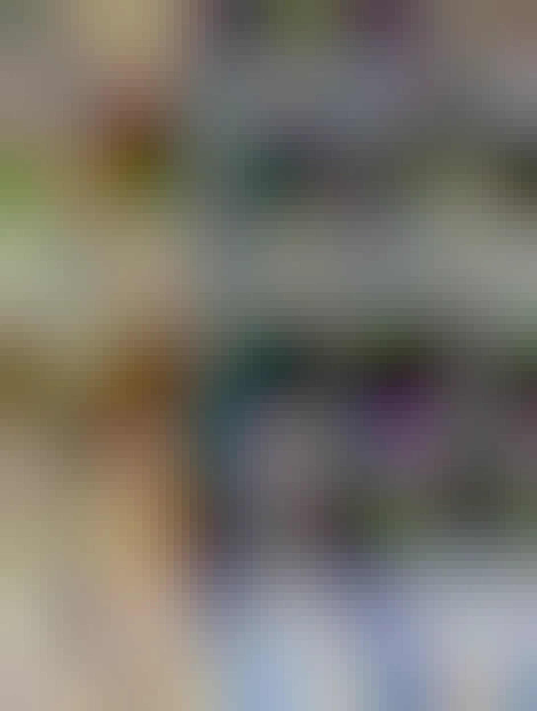 Na fotce je karton s pivem Braník, v německém obchodě 