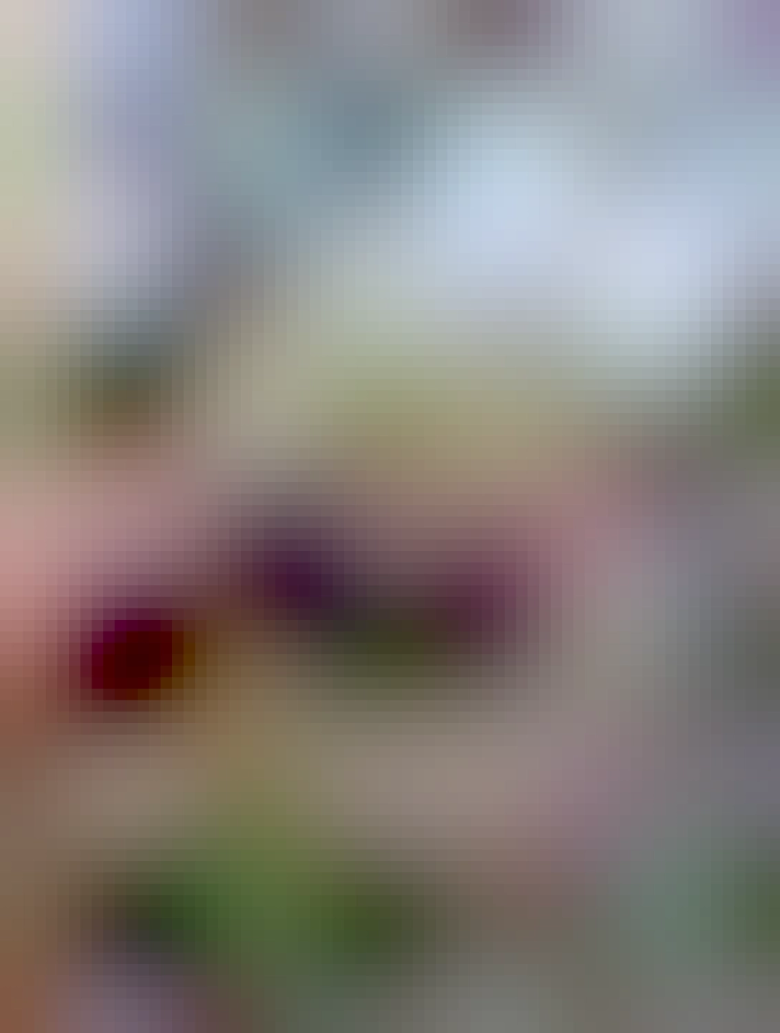 rur drží v ruke šálku kávy a v pozadí vidieť Slovenské národné divadlo