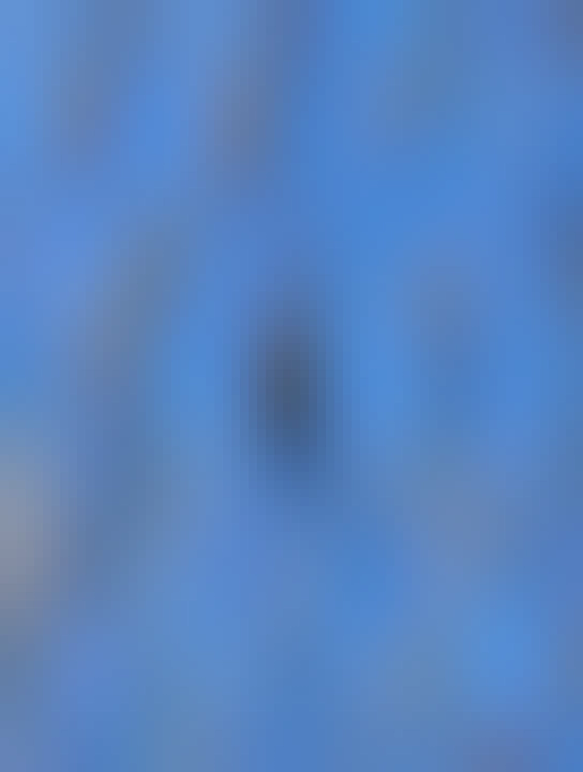 vrana odpočíva v korune stromov na vetve