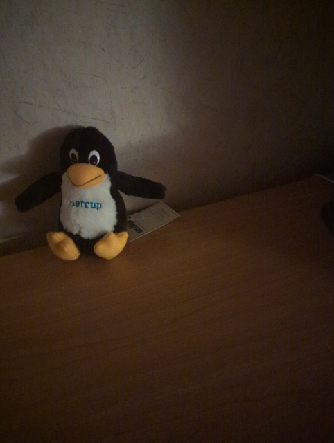 Auf dem Bild ist ein Plüsch-Pinguin zu sehen. Er sitzt auf einer Holzoberfläche vor einer Wand mit rauer, weißer Textur. Der Pinguin hat schwarzes Fell am Körper, einen weißen Bauch und gelbe Füße. Sein Gesicht ist ebenfalls schwarz mit großen weißen Augen und einem gelben Schnabel. Auf seiner Brust steht "netcup" in blauer Schrift. Neben dem Pinguin liegt ein Etikett.
