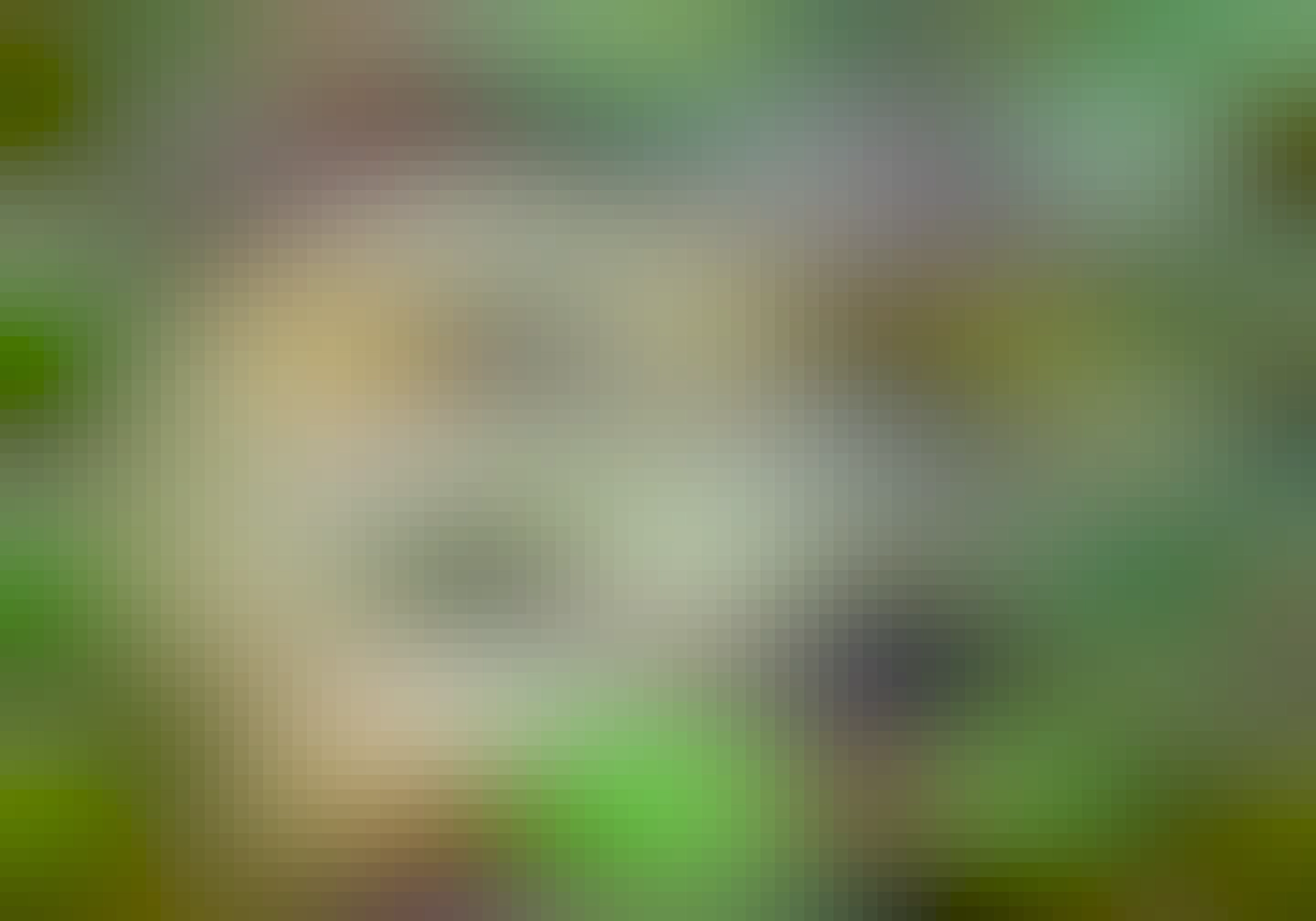 A pangolin pup and its mother, all curled up together.