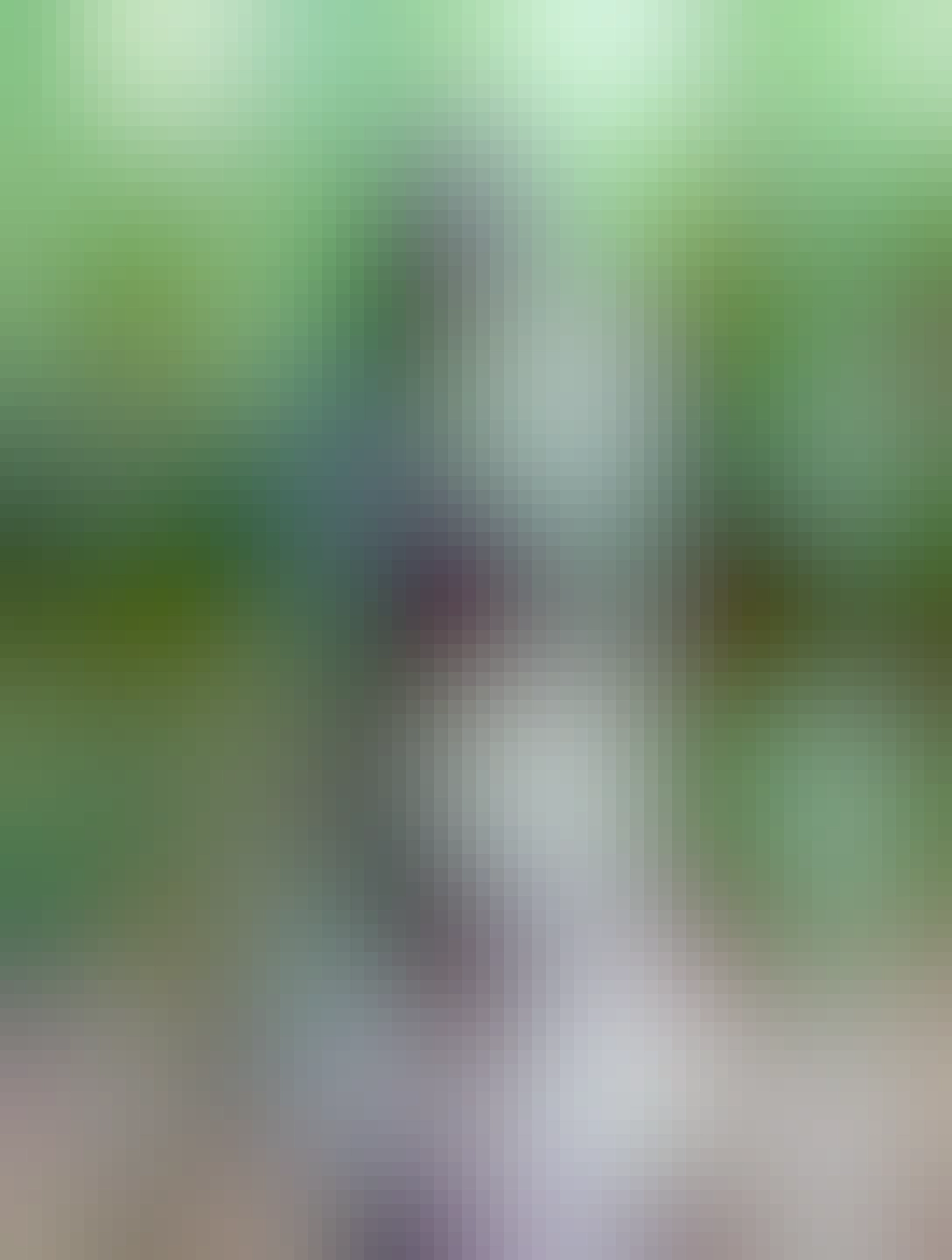 Stone tomb guardian from the Ming dynasty, wearing mountain-pattern armour.