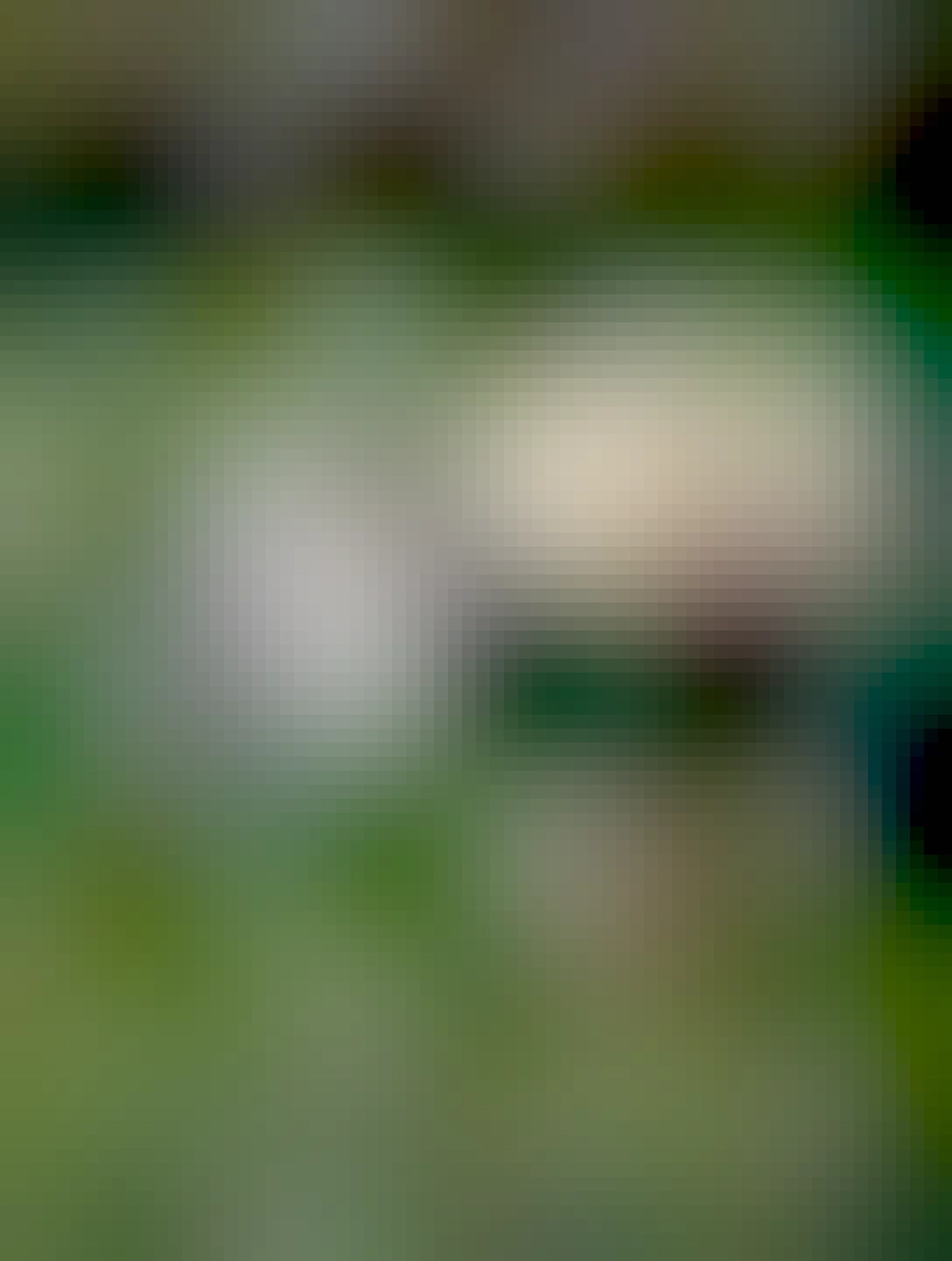 na zelenom drevenom stole je polliter Kofoly a v pozadí káva na podtácke so servítkou a dvoma cukrami.