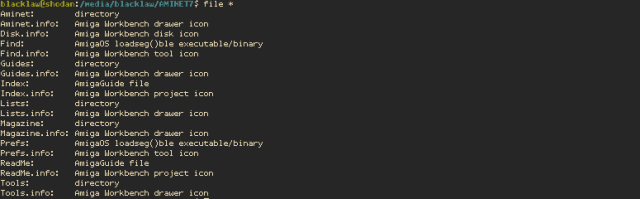 A screenshot of a terminal session in which BSD File, a tool for identifying file types without machine learning, is run against the root directory of a CU Amiga coverdisc. Every single file is correctly identified.