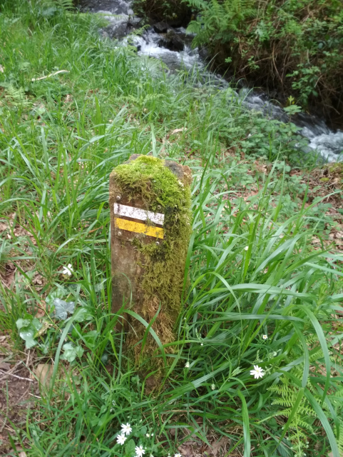 Unha marca dun roteiro cuberta de musgo e rodeada de verde e un regato ó fondo