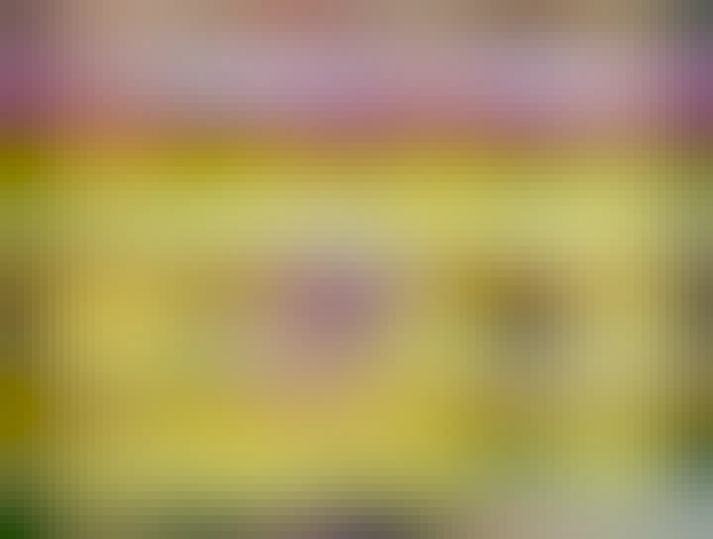 Oferta de croissants en Carrefour. Antes 2,20€, ahora 2,99€.