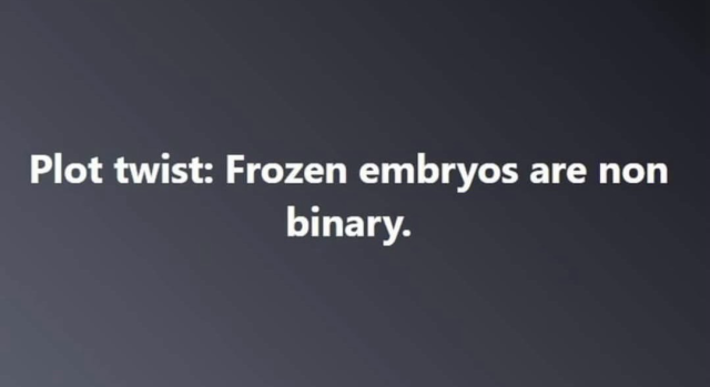 Graphic text meme on an off-black background that reads PLOT TWIST: FROZEN EMBRYOS ARE NON-BINARY