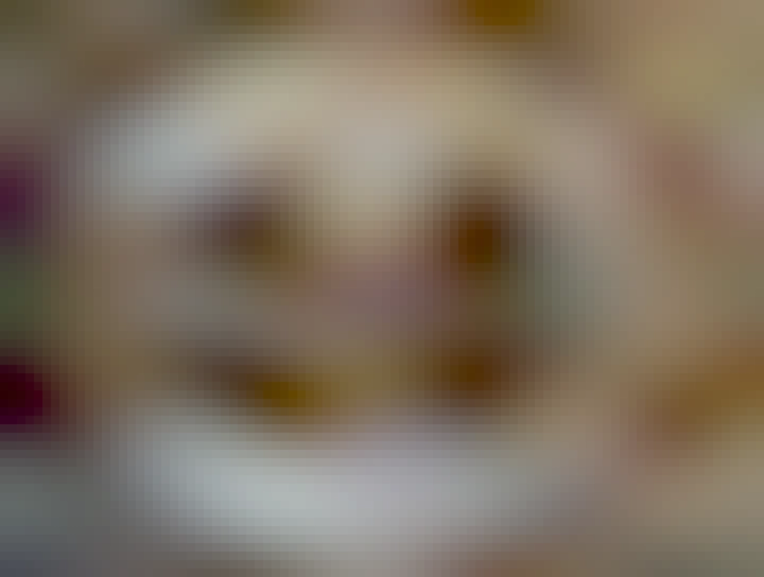 two chocolate donuts on white plate