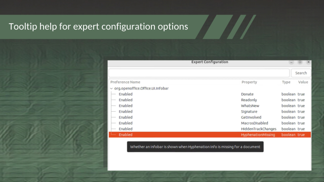 Screenshot of expert configuration options dialog