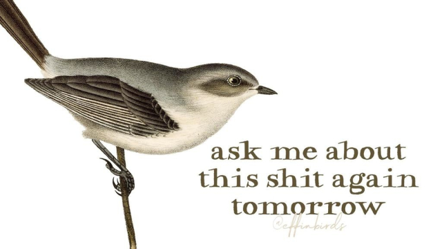 A painting of a bird next to the words "ask me about this shit again tomorrow"