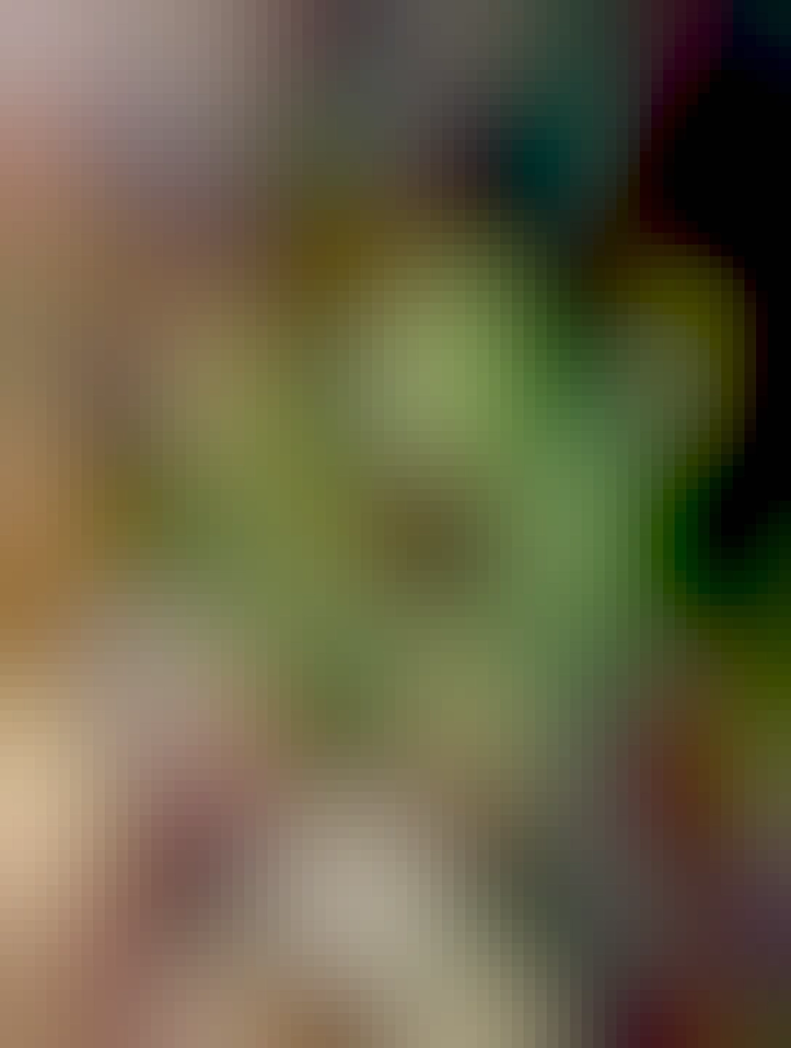 zväzok citrónového tymiánu, mnou držiac v ruke