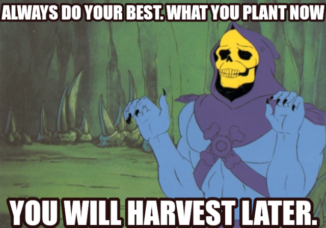 ALWAYS DO YOUR BEST. WHAT YOU PLANT NOW YOU WILL HARVEST LATER.
