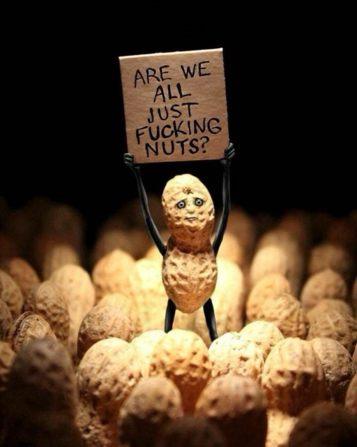 Still photo of a peanut holding a sign declaring they’re all fucking nuts