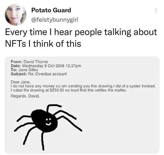 Every time I hear about people talking about NFTs I think of this:

"Dear Jane, I do not have any money so I am sending you this drawing I did of a spider instead. I value the drawing at $233.95 so I trust that this settles the matter 

Regards, David."

Followed by a low effort drawing of a spider 