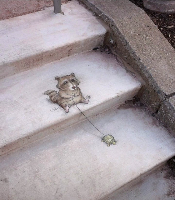 Streetart. A small 3D image of a raccoon with a turtle has been drawn in chalk on the steps of a light-colored stone staircase. The beige and white raccoon sits on the top step and holds a leash with both paws, which leads to a small running turtle one step below.
Title: "Sheila is still adjusting to the pace of her walking companion"