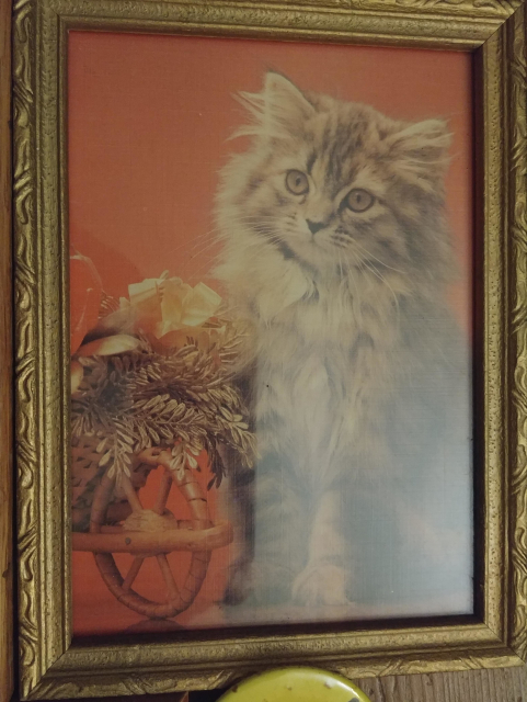 This one is okay, it's not a bad picture, but it is very 70's or 80's. It would really do best sitting on that cheapo veneer everyone loves to hate.

The cat is a lighter colored, long-hair tabby, sitting beside something awful. It's like a thanksgiving cornucopia, except it's a wicker wheelbarrow or something.

It has a bunch of stuff in that makes me think it was overlaid on top of the cat photo. No free-spirited cat could have let this thing alone.