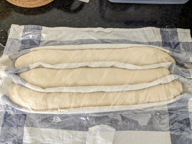 Three uncooked baguettes sitting on a floured tea towel. The tea towel is bunched up between the baguettes to keep them separate. A piece of plastic wrap lies on top.