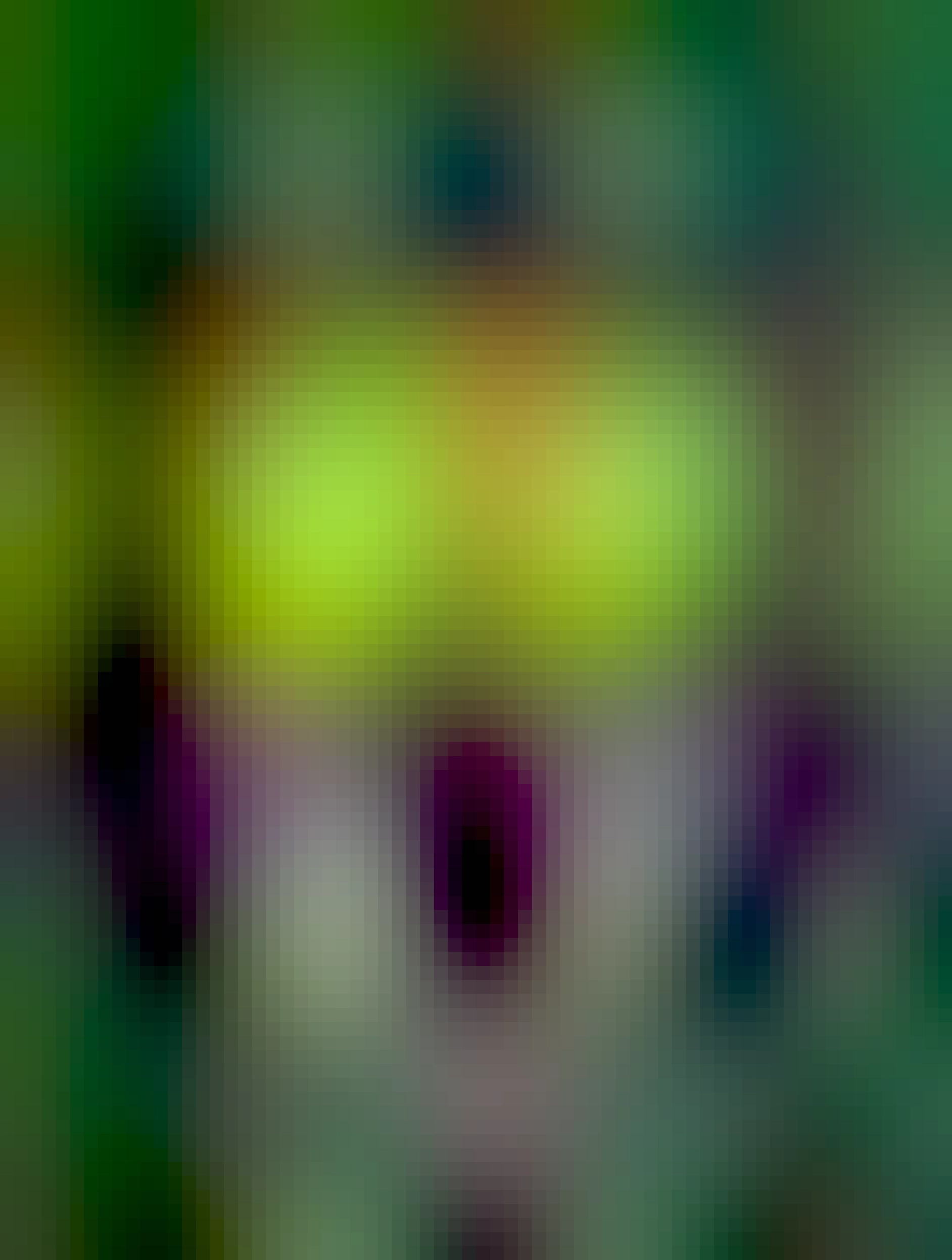 A phone is running gnome. There is the Highscore app running on it. The screen is split in half: on top there is the Golden Sun Game Boy Advance game running. On the bottom there are touch controls.