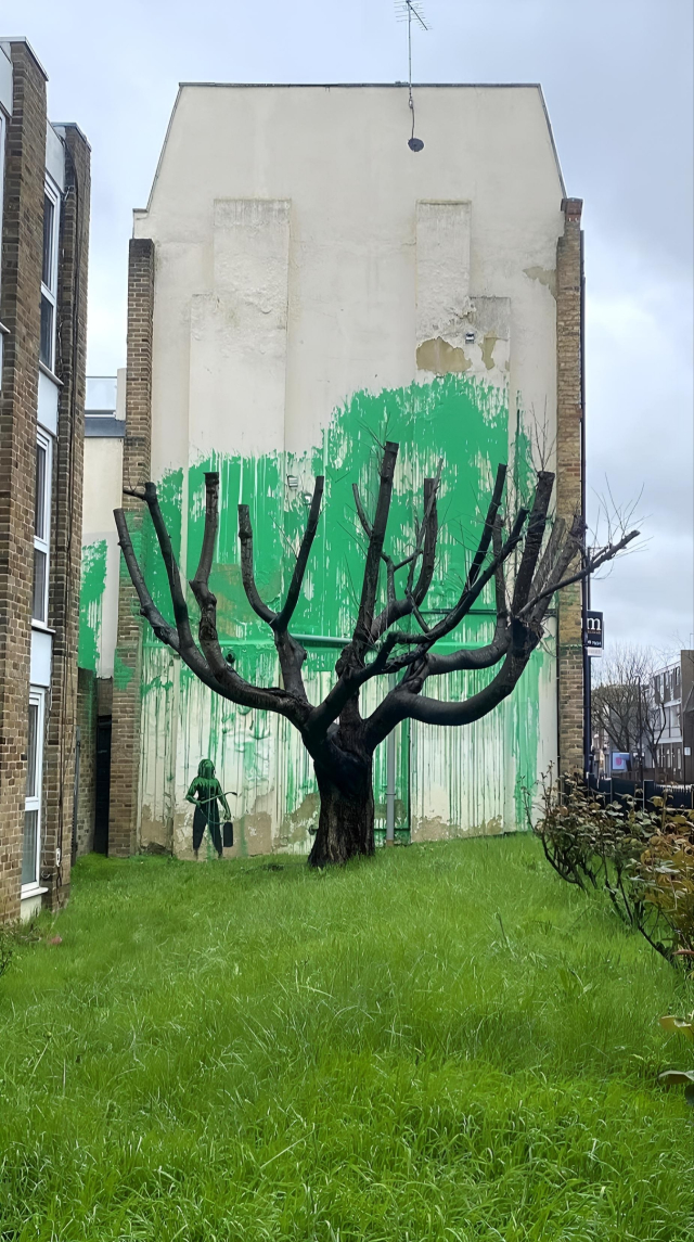 Streetartwall. On the beige exterior wall of a three-storey building, a mural was created around a tree using lots of green paint and a single figure. In front of the high wall is a green meadow with a heavily pruned tree with many branches but no leaves. Behind it, the artist has let green paint run down the wall from above, which looks like green leaves behind the tree. Next to the tree is a figure with a spray can, looking at the green paint and admiring her work.
Info: The artwork ist now (18.03.2024)  confirmed 