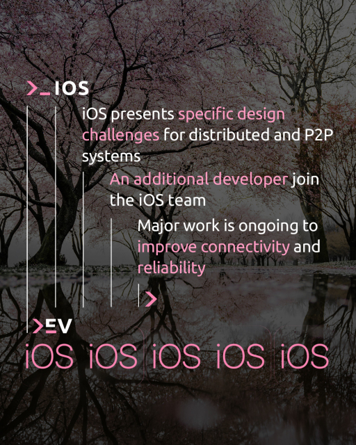 iOS
An additional developer joing the iOS team and major work is ongoing to improve connectivity and reliability.
iOS presents specific design challenges for distributed and peer-to-peer systems like Jami which our developers are currently grappling with.