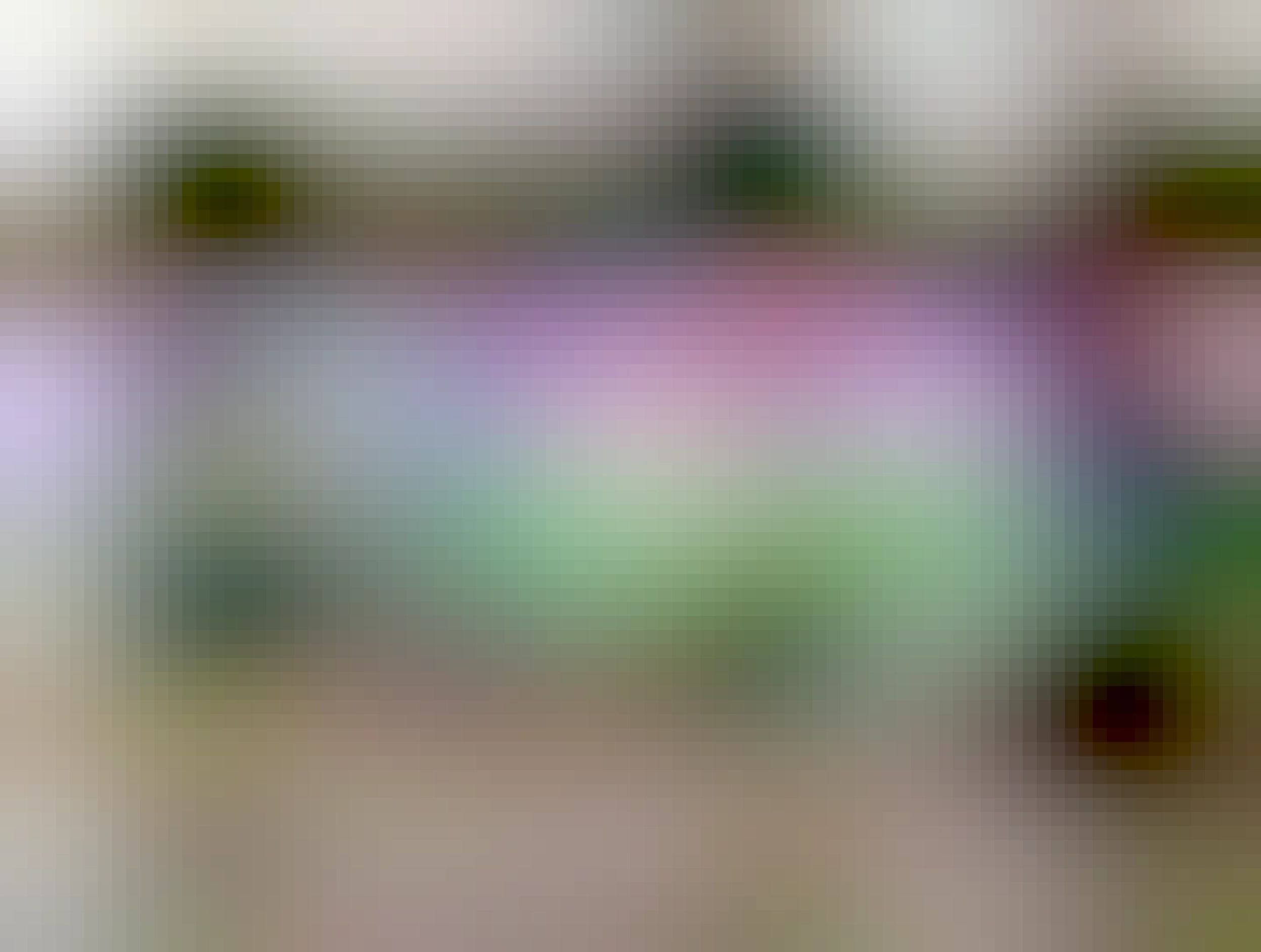 People holding up a banner saying “net zero without nuclear is a fairytale”