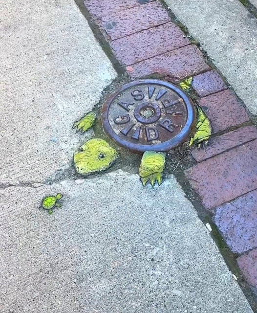 Streetart. Two turtles were painted with chalk on a round metal base plate for gas and on the sidewalk.  The brown metal plate was transformed into a turtle shell and the head and legs of a large green turtle were painted around it. A tiny little turtle on the sidewalk stands in front of it and looks at it.(The photo shows a row of purple paving stones next to the metal plate). Title: "Visiting with Grandma" 