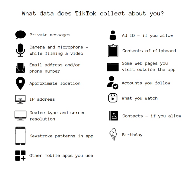 The infographic image details the ways in which TikTok collects your data.