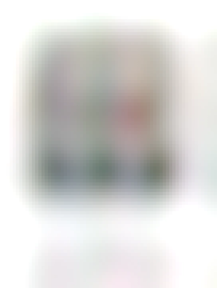 A drawing of a cat in front of a mirror wearing a shirt in a changing room. The text below reada: francois tries on clothes at the shopping mall. "there's a problem" he said "I look too good in everything 