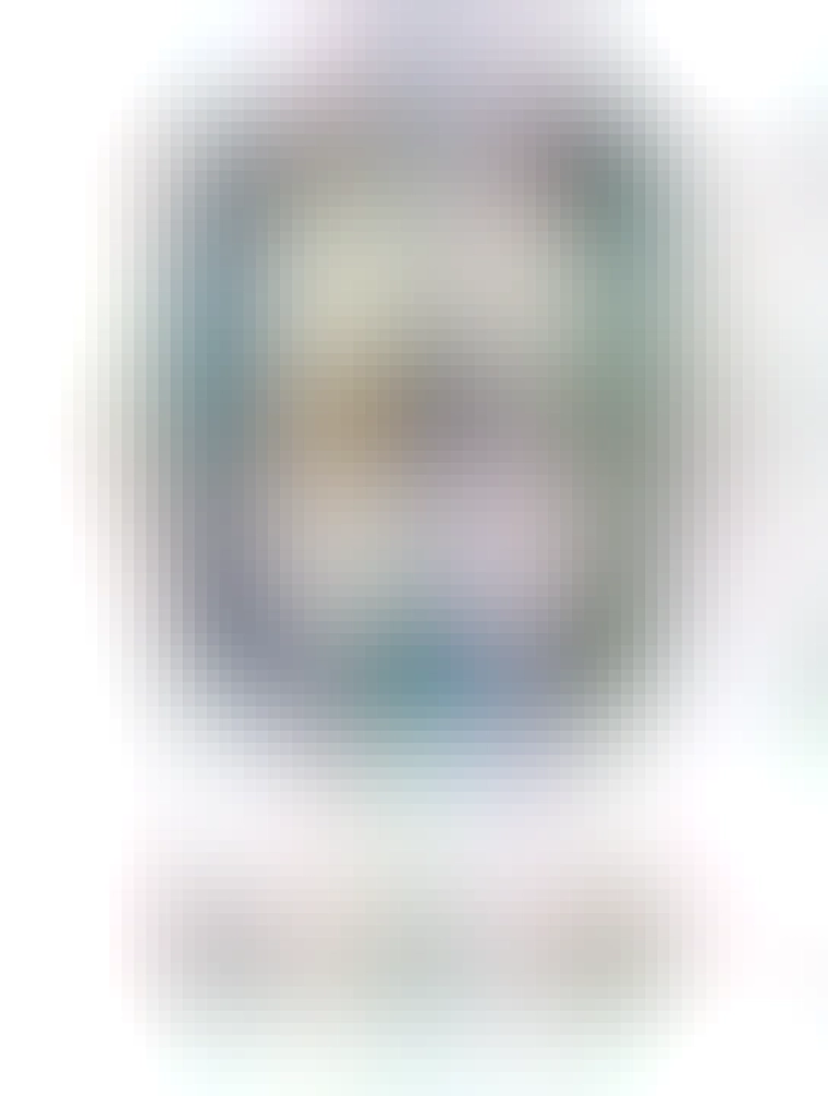 A drawing of a cat holding several snacks (crisps, a pepsi can, a sandwich). The text below reads: francois indulges in his favourite snacks after a long and tiring day of being handsome 