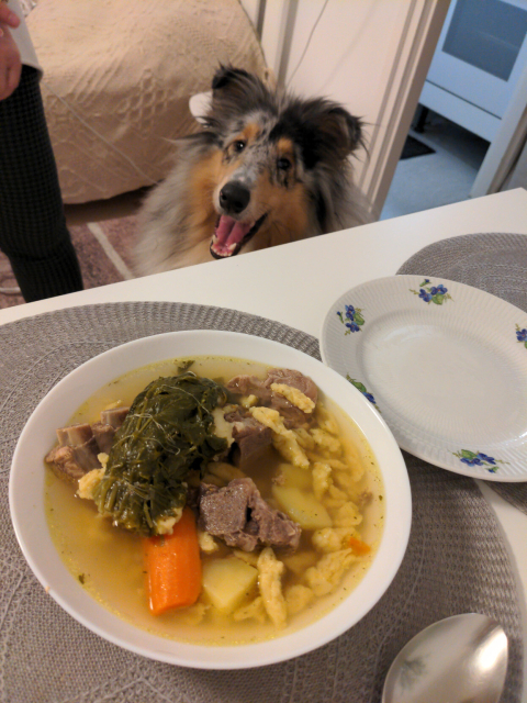 Lumi the blue merle collie with a big smile behind the table, on top of which there is a big plate of soup full of meat and veggies