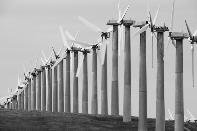A row of wind turbines on a hill, arranged in a way that resembles a histogram.