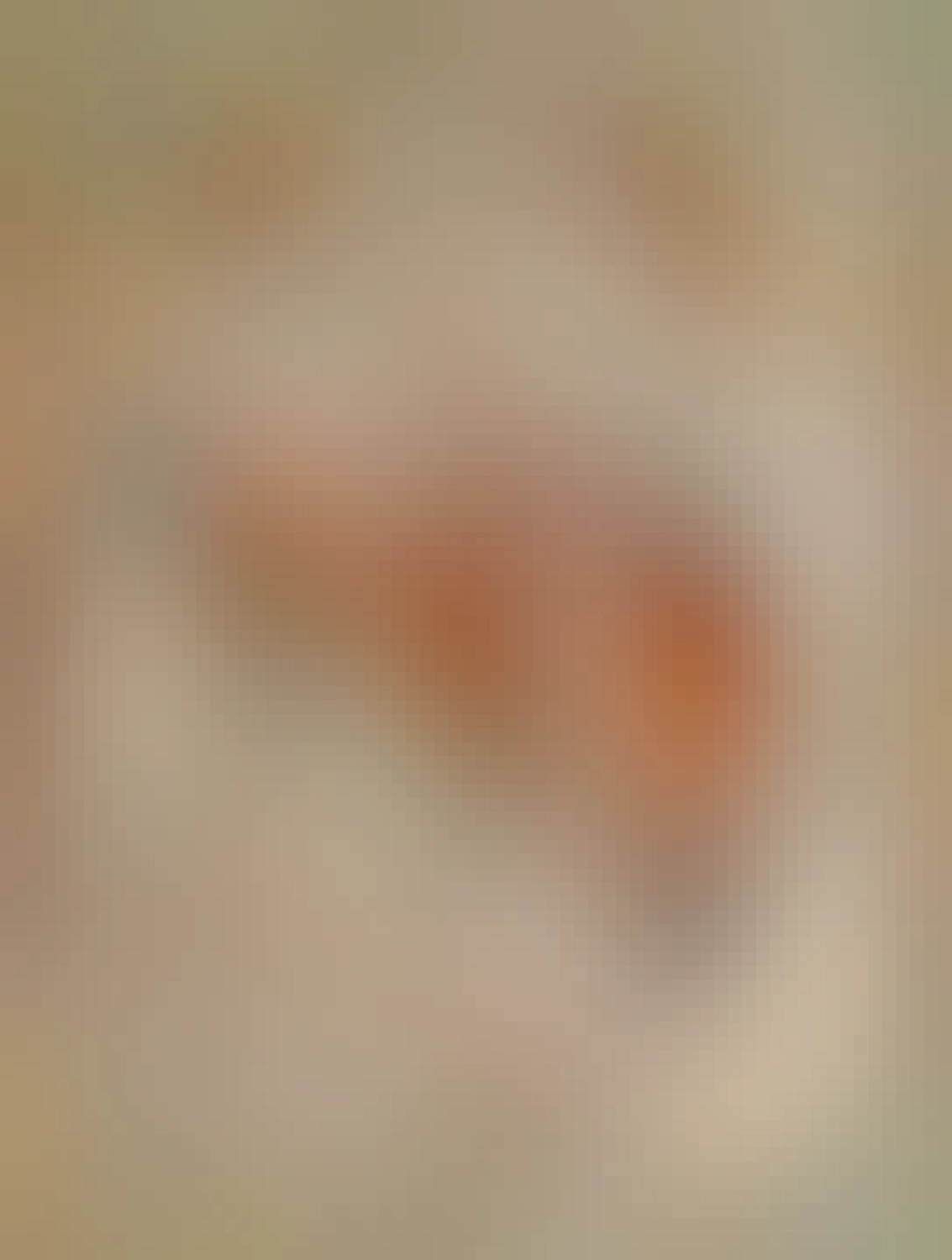 podkova lososa na bielom tanieri