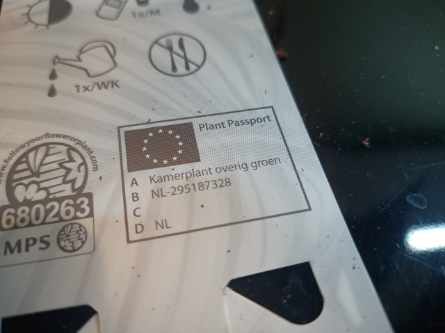 Een 'plant passport' dat als soort 'Kamerplant overig groen' vermeld. Niet erg nuttig dus.