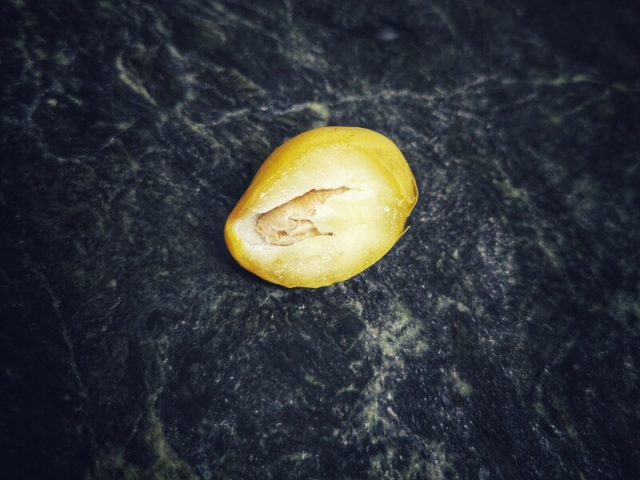 A half-eaten fresh date with a thin yellow skin and the crispy and crunchy flesh half-eaten thus exposing the light wood-coloured seed inside. This date is on a marbled countertop.