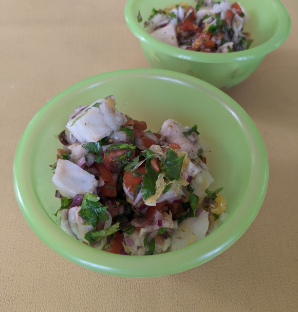 Bowl of freshly made ceviche