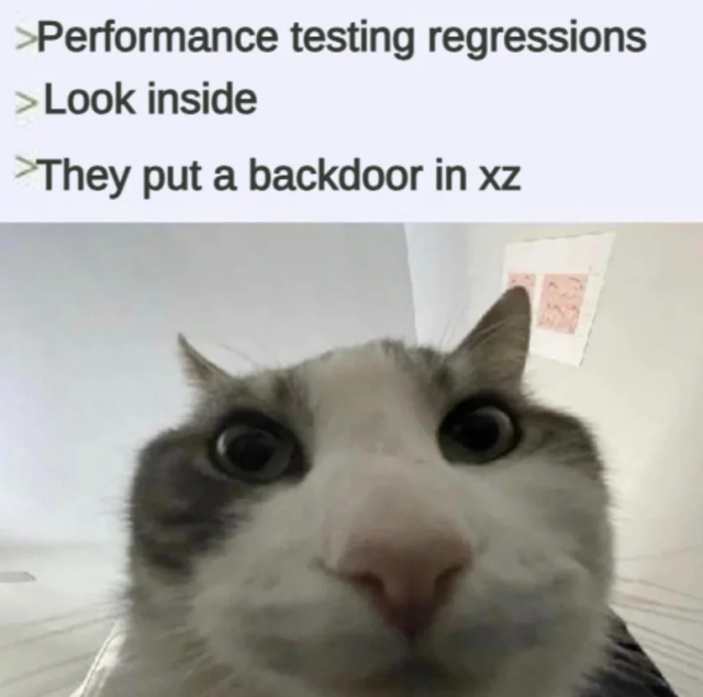 Cat does regression testing, find a backdoor in xz