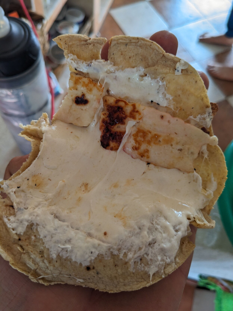 una quesadilla abierta con queso de hebra bien fundido y queso fresco asado.