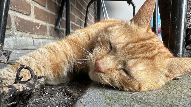 George on the balcony
