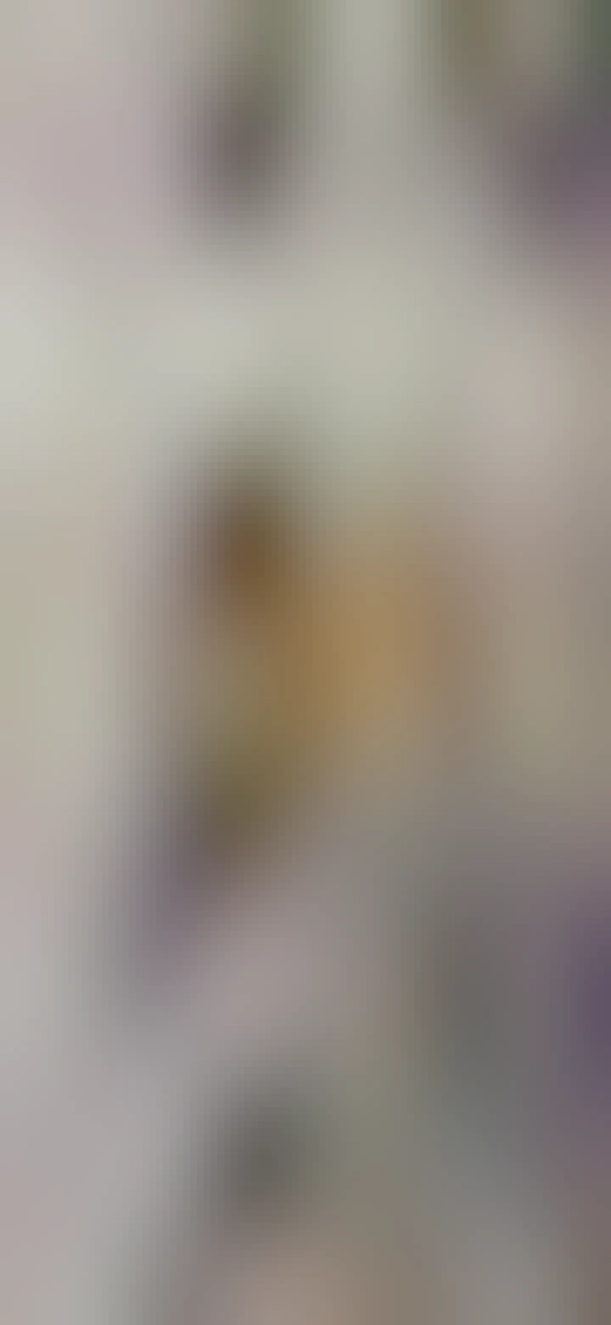 French Press s ranní kávou...