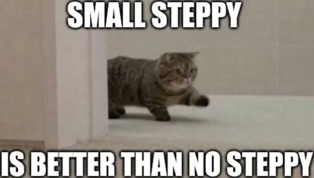 Small steppe better than no steppy. 
Overlaid on top of the small cat marching through a doorway. 