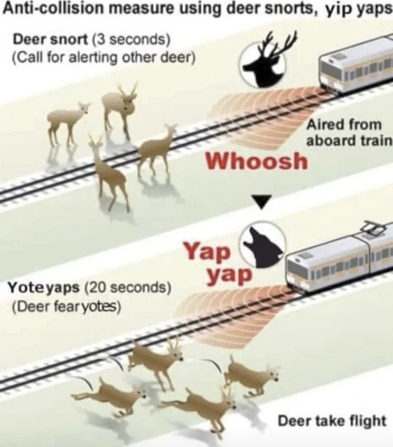 Anti-deer train system diagram.  It shows a train making a "deer snort" noise 3 seconds away from a group of deer to scare them away (featuring WHOOSH showing the air coming from the train), and another service called "yote yaps" that scares deer away that are 20 seconds from collision, featuring a picture of a wolf head saying "yap yap"