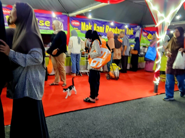 Now actually at the same tent, amidst people walking about and in blurry focus, a lady in a hijab, loose top and pants, and a giant shopping bag, paused to look at the little black and white cat by her feet who is also in blurry focus as they too have places to be. As such she is in sharper focus. Behind them are the tables of Raya food being perused by other people for purchase 