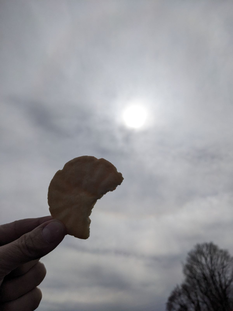 Round cookie with a bite out of it, held up beside the sun.