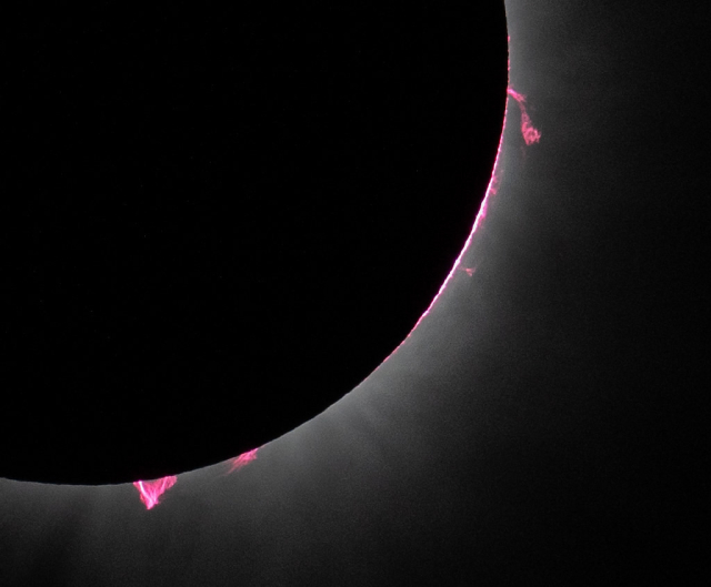 Solar prominences are seen in this image during a total solar eclipse in Dallas, Texas.