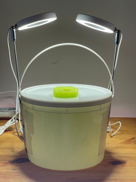 A picture of the grow bin. A 1-gallon white bucket with handle. Two small 3in halo grow lights are atop. A pool noodle holds a rockwool cube which holds the seed. Inside the bucket is a nutrient blend. No other moving parts. No pumps. No aerators.