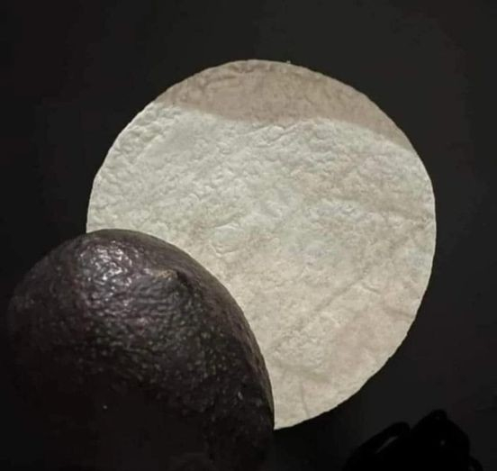 Partial solar eclipse as recreated by avocado and tortilla.